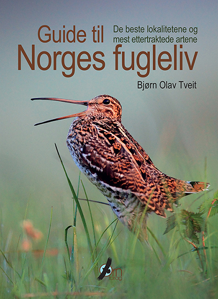 Guide til norges fugleliv