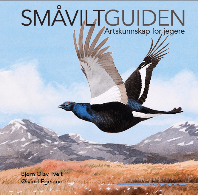 Småviltguiden - artskunnskap for jegere