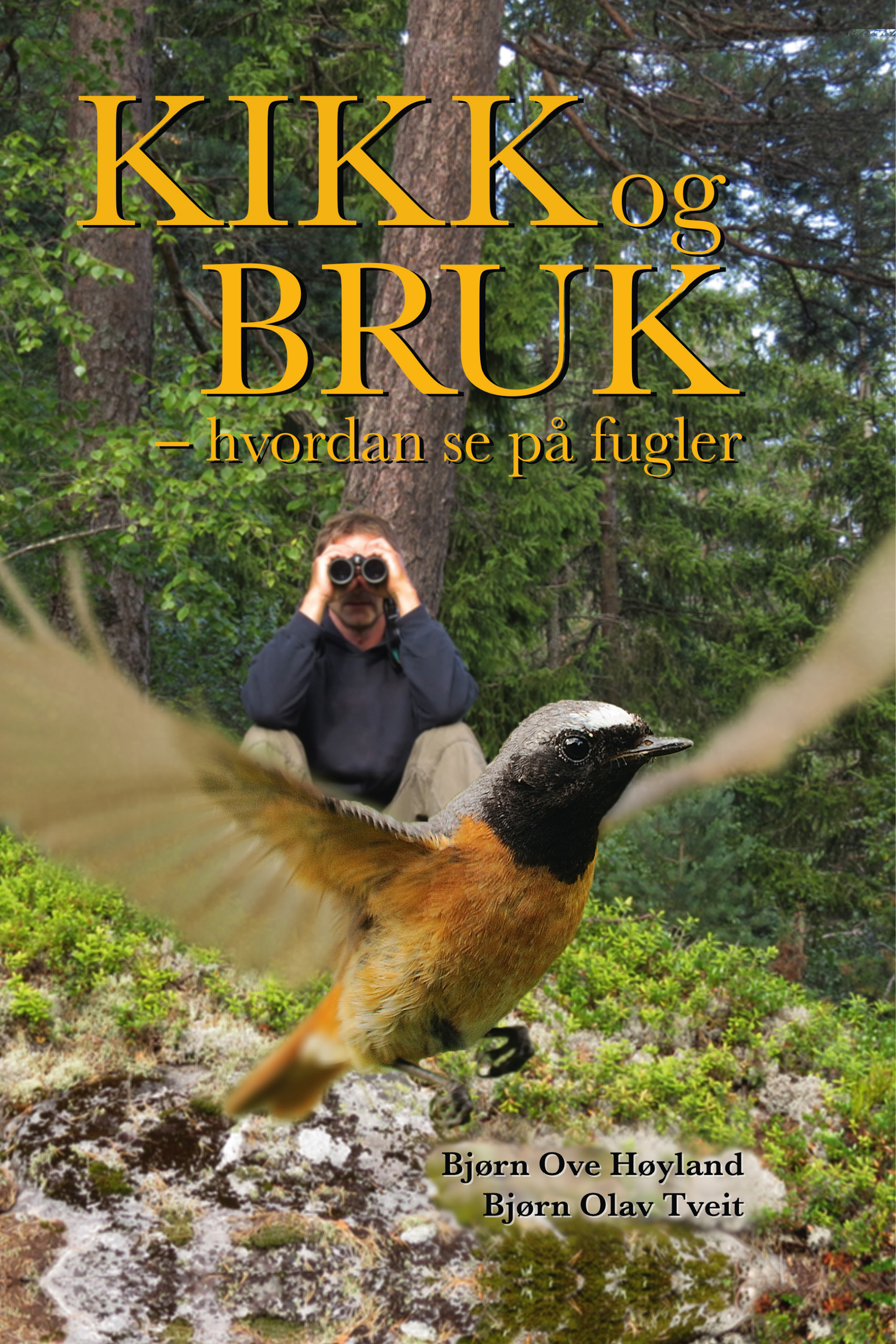 Kikk og bruk - hvordan se på fugler