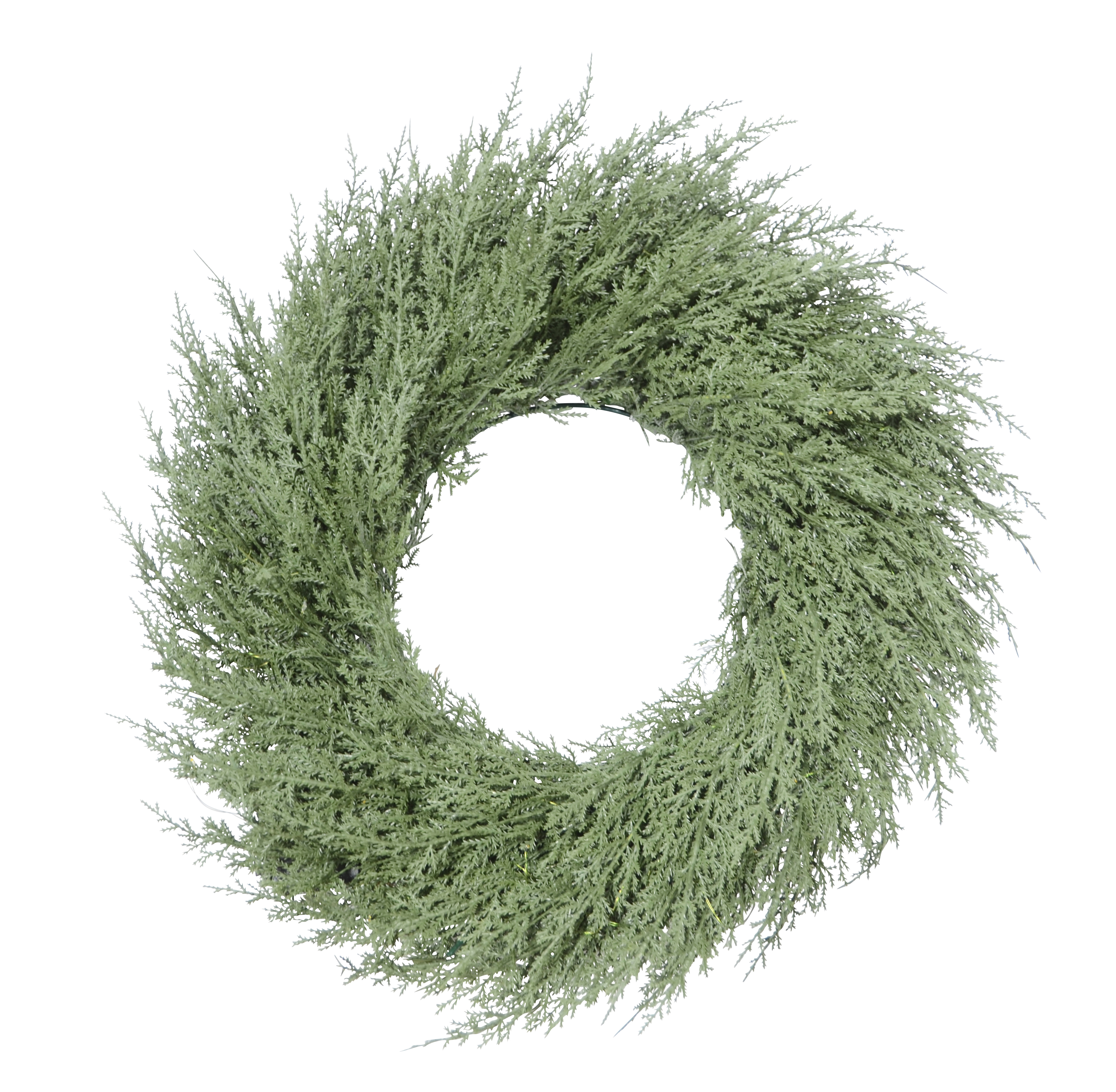 Wreath Thuja