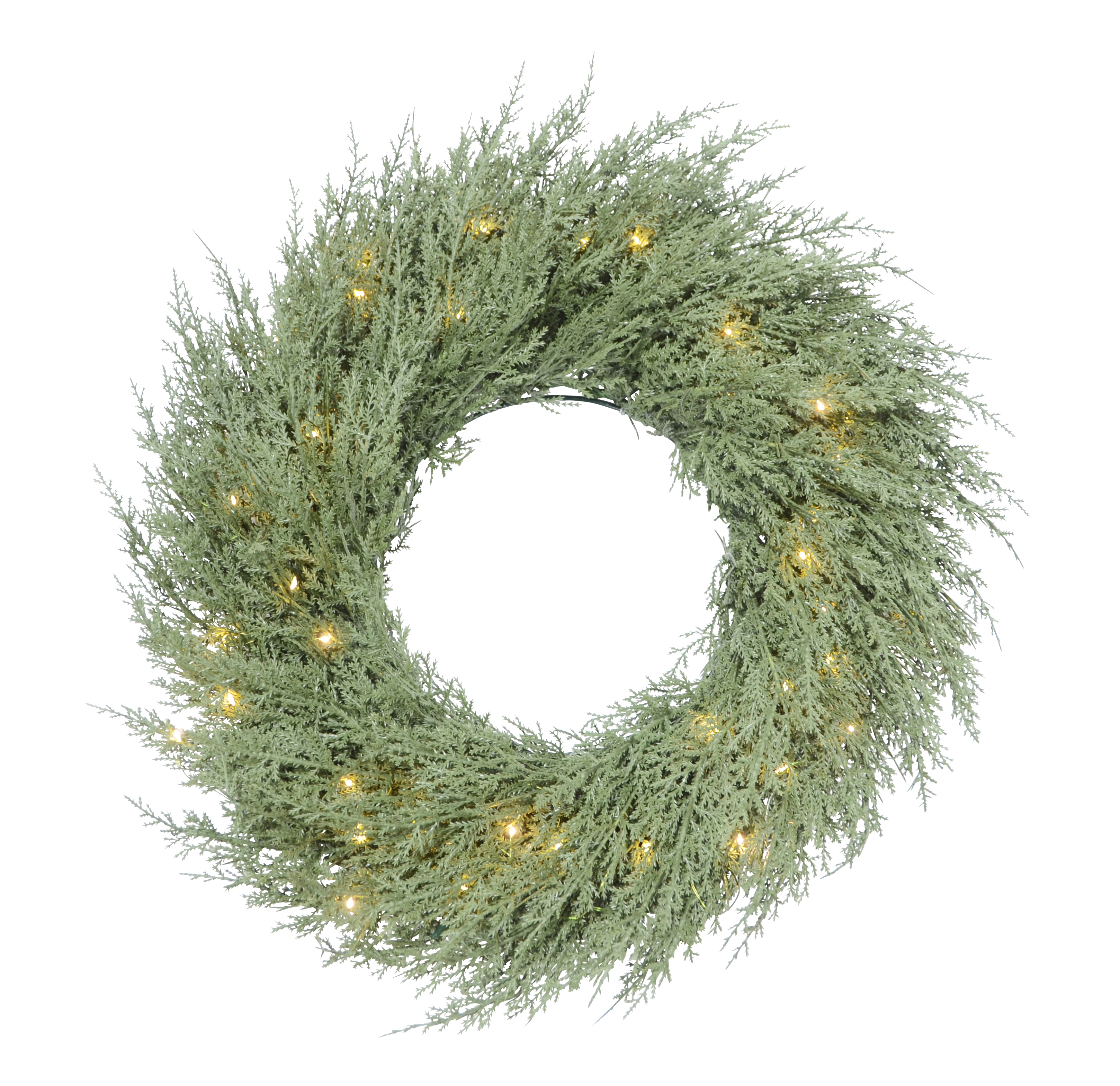 Wreath Thuja