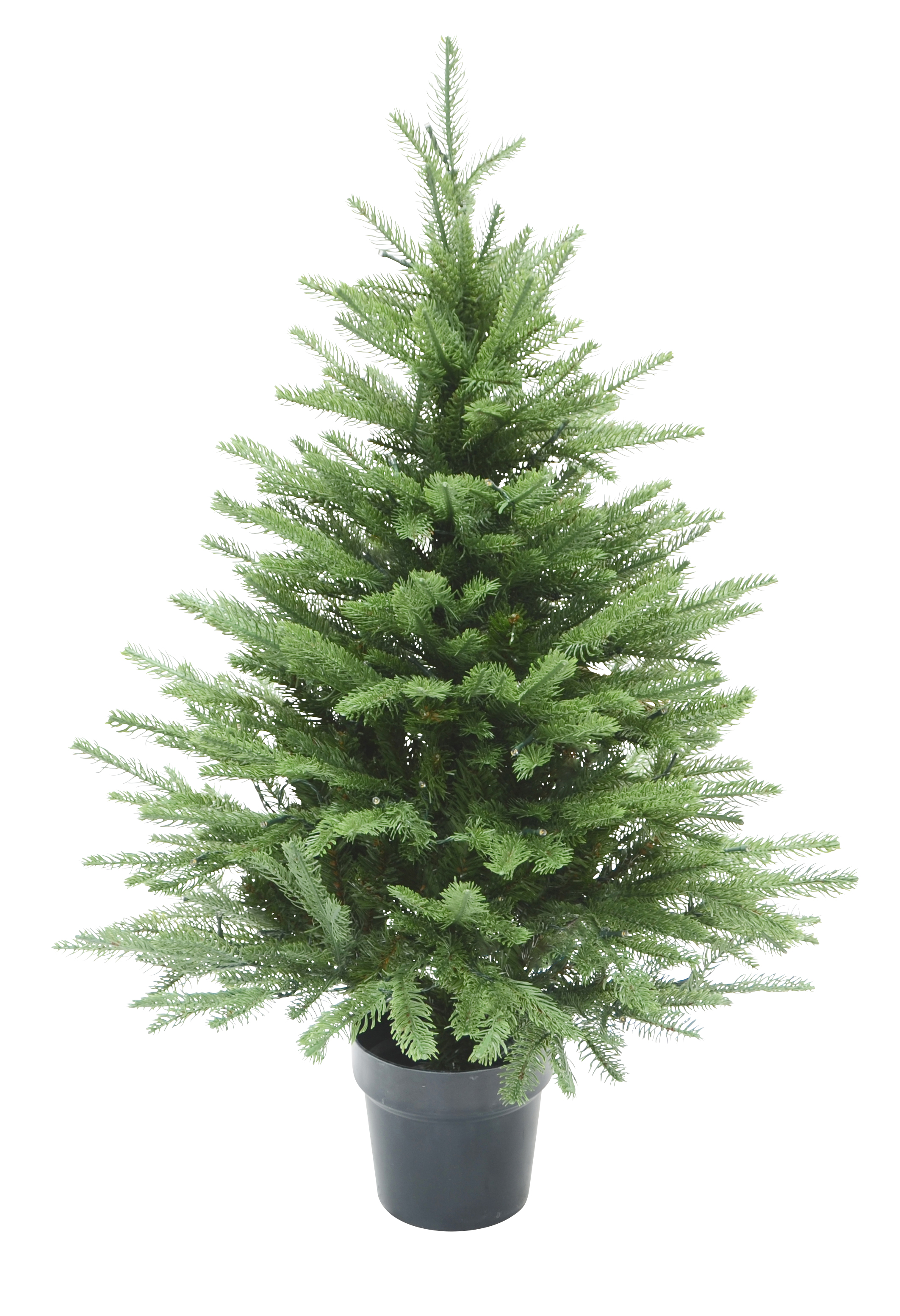 Christmas Tree with Lights