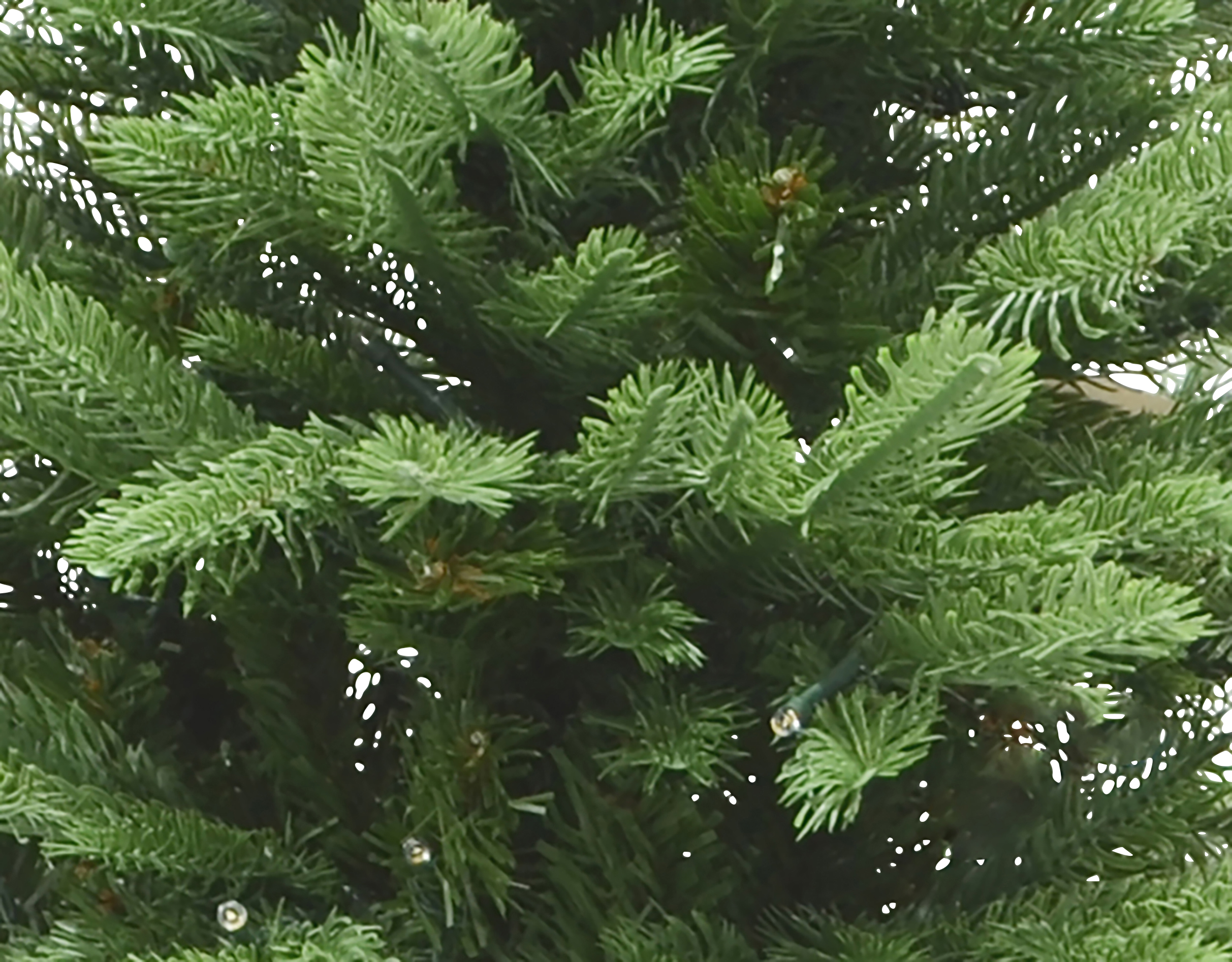 Christmas Tree with Lights