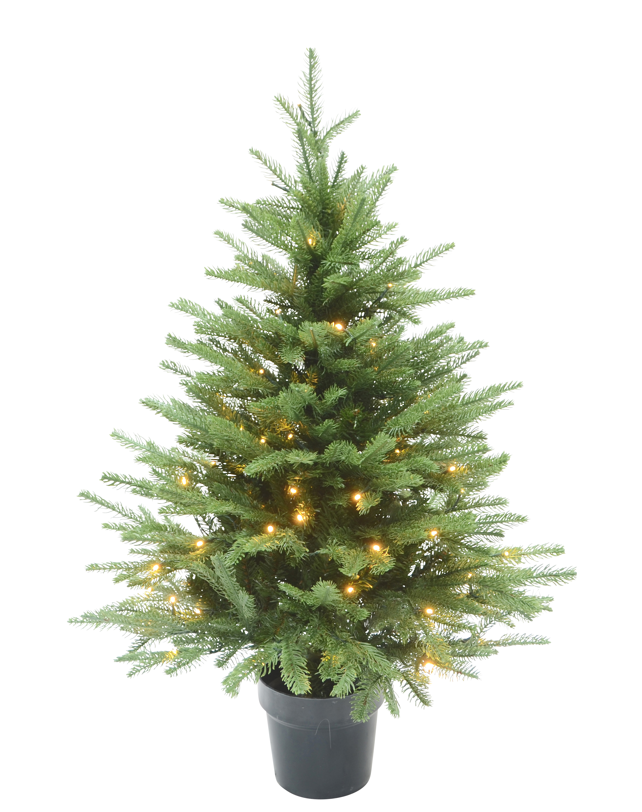 Christmas Tree with Lights