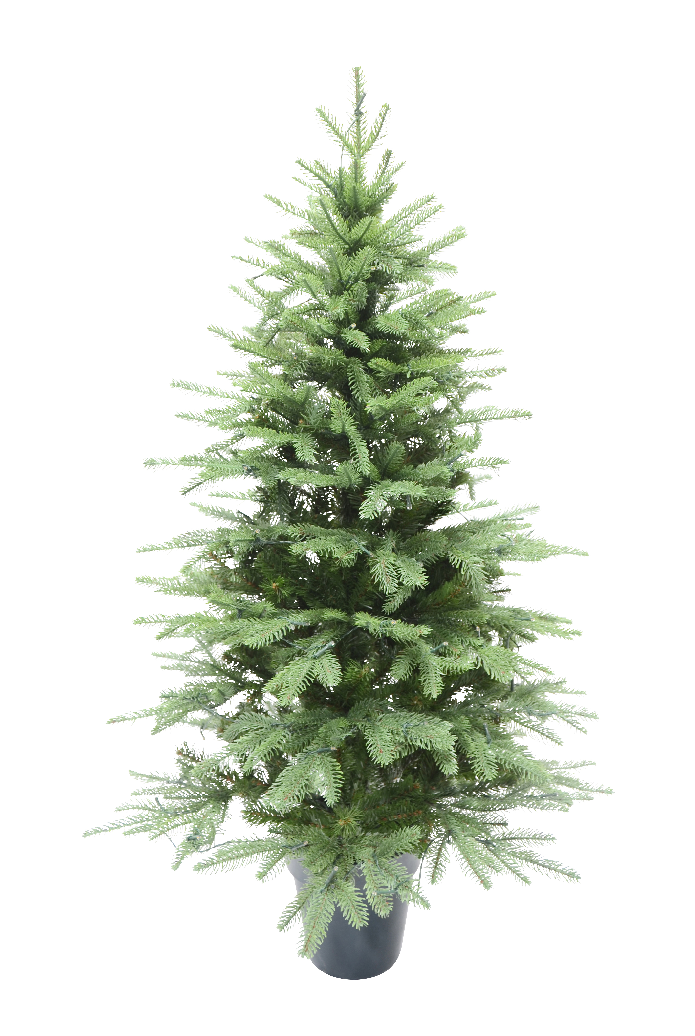 Christmas Tree with Lights