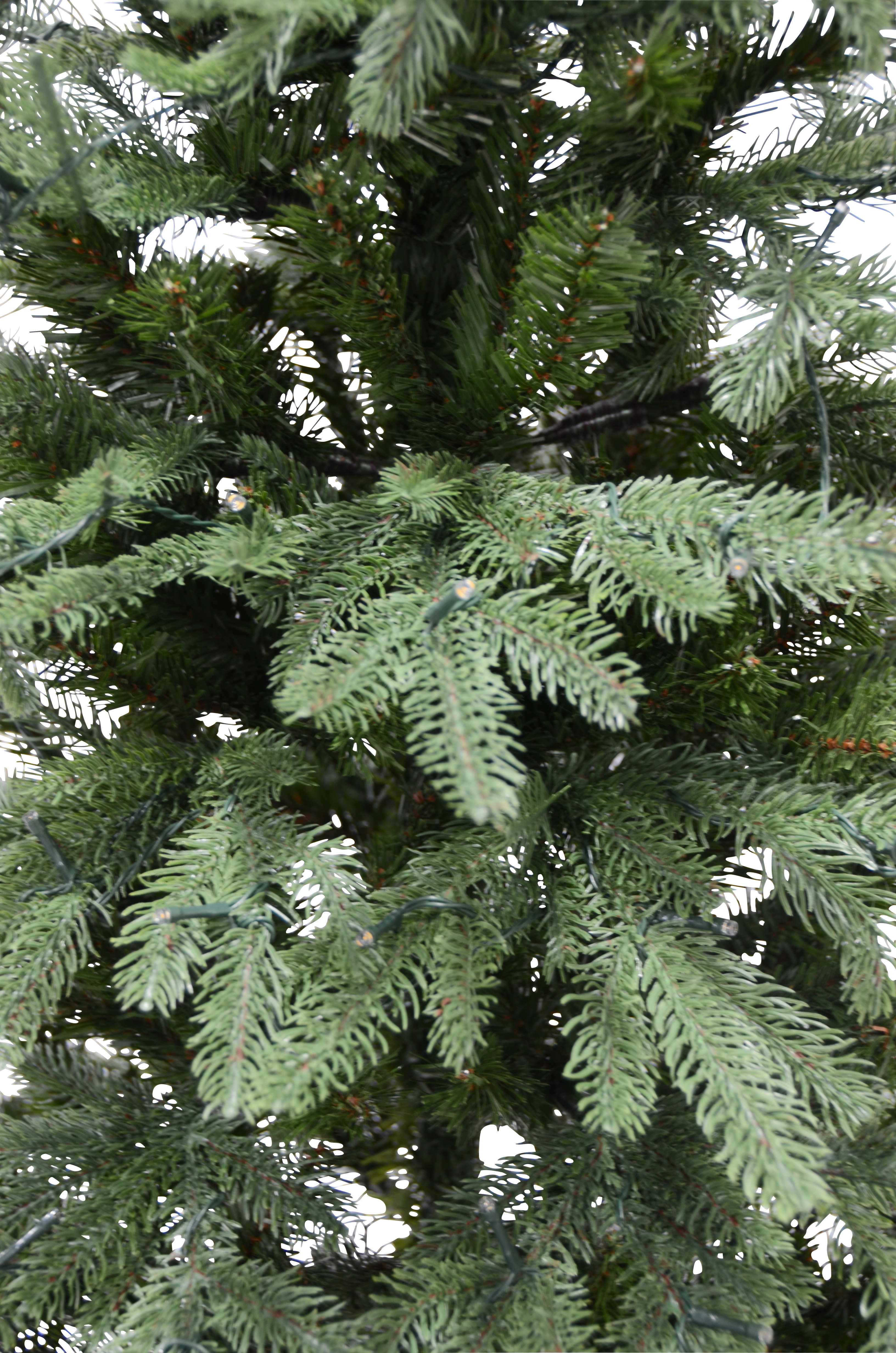 Christmas Tree with Lights
