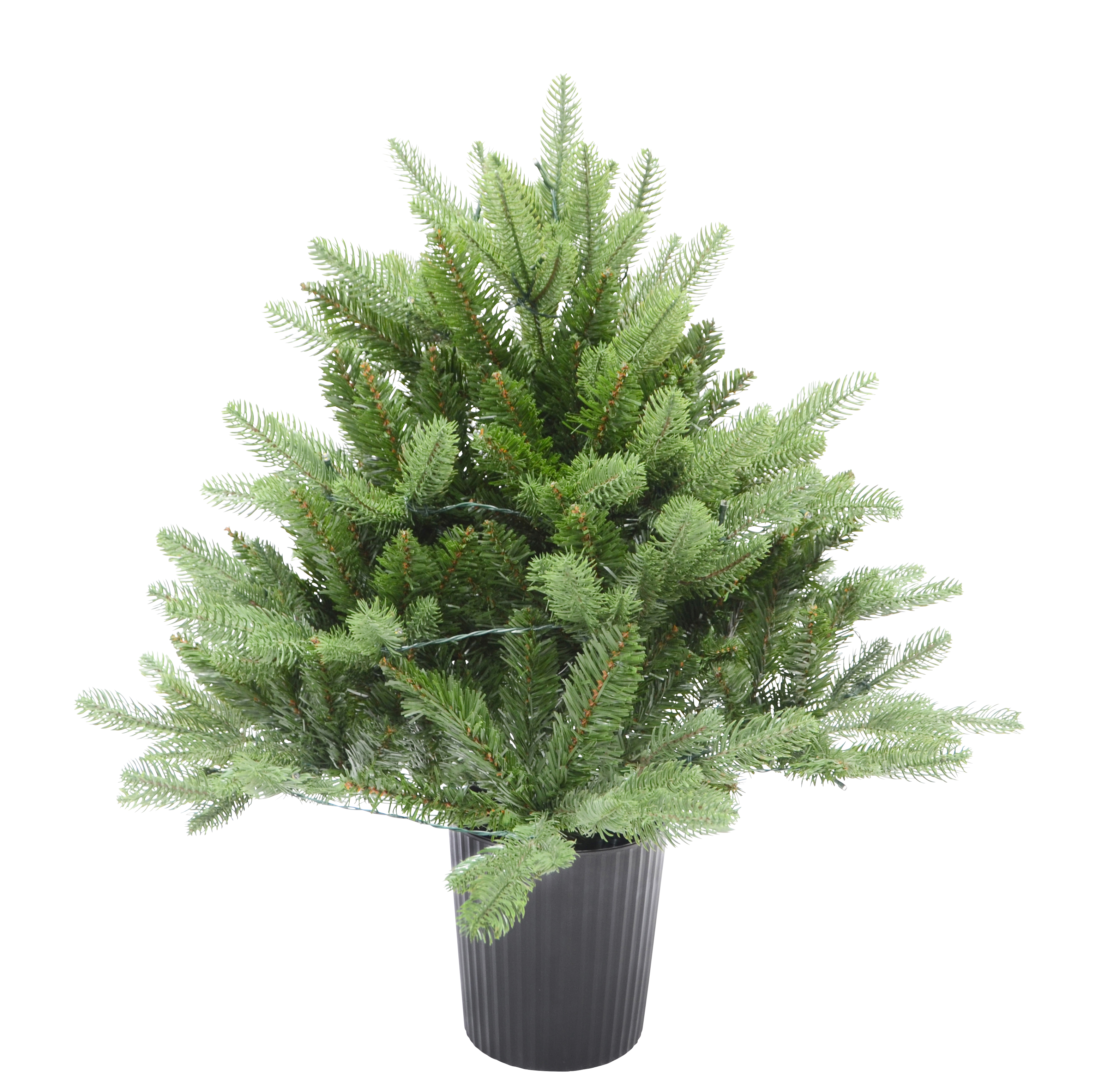 Christmas Tree with Lights