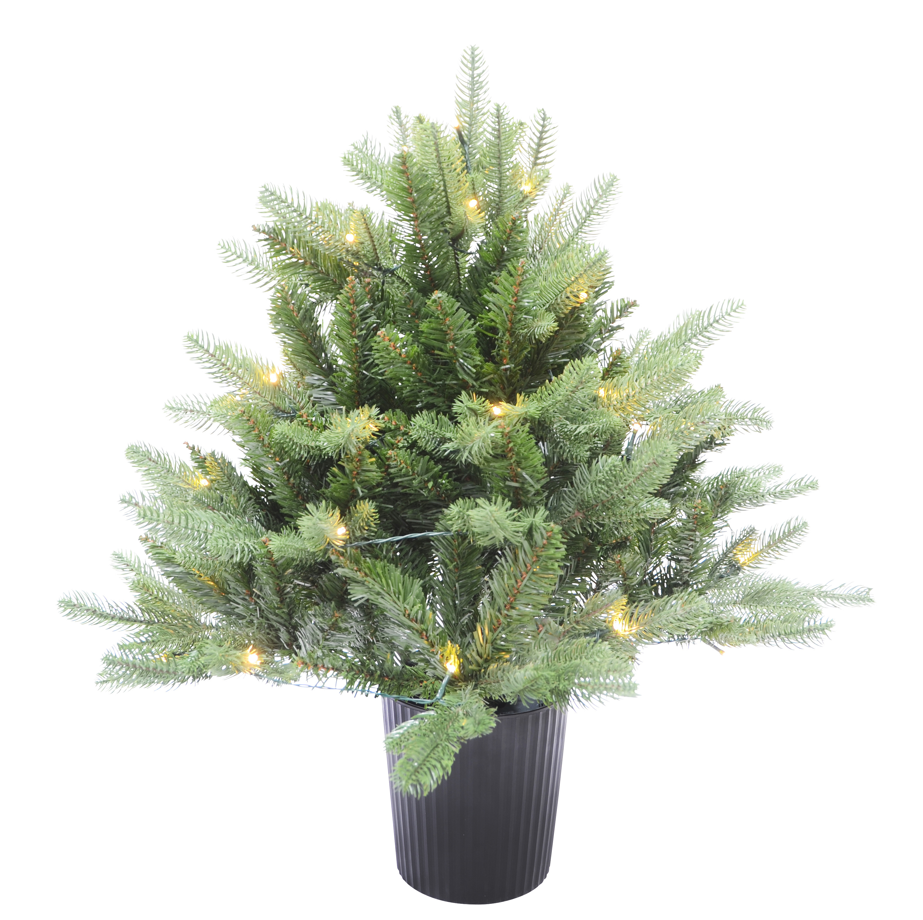 Christmas Tree with Lights