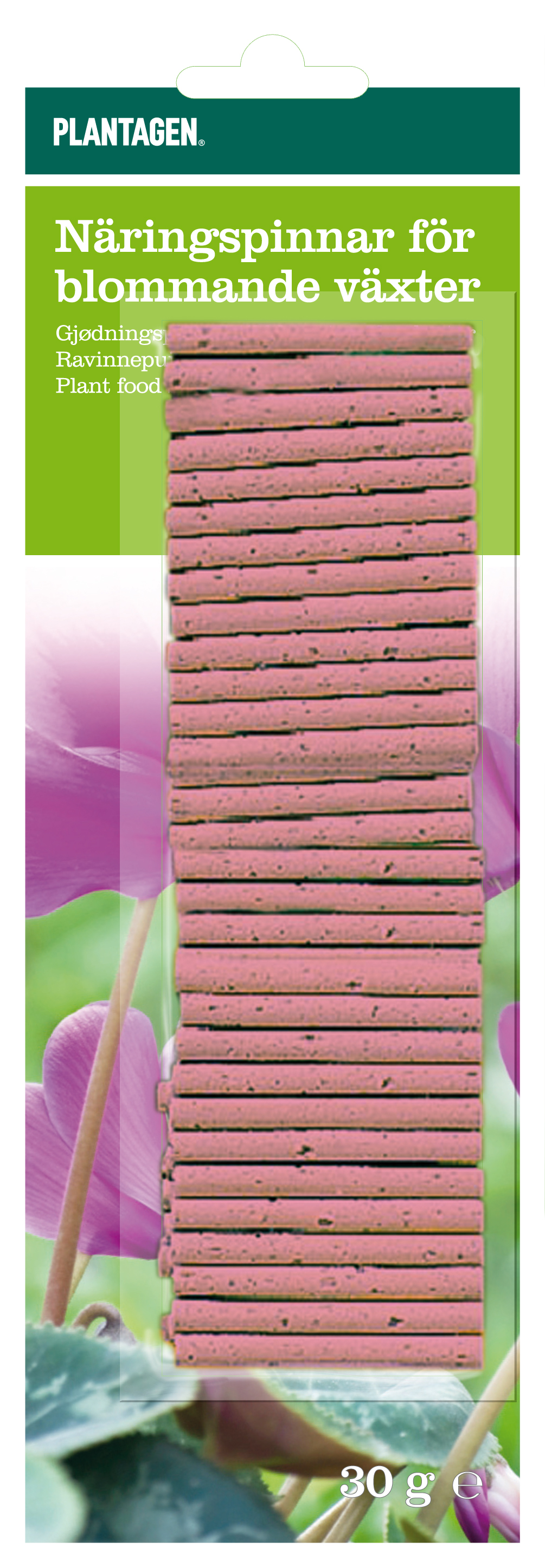 Fertilizer sticks Flower