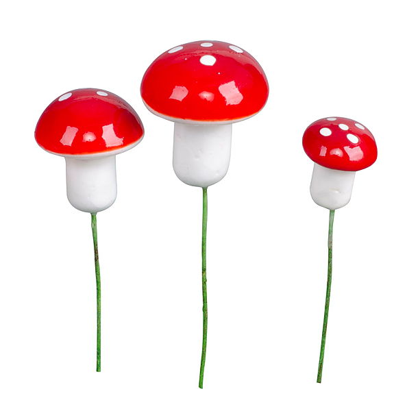 Stick Mushroom 