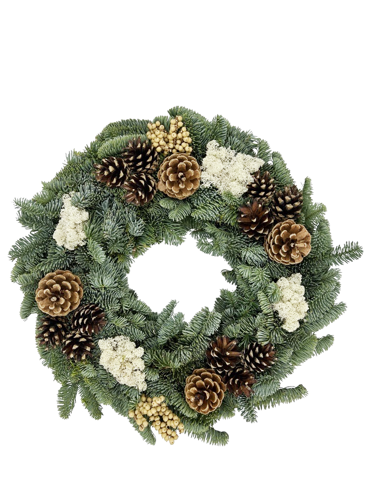 Dörrkrans koner 40 cm