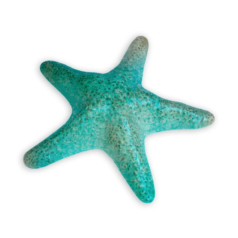 Starfish