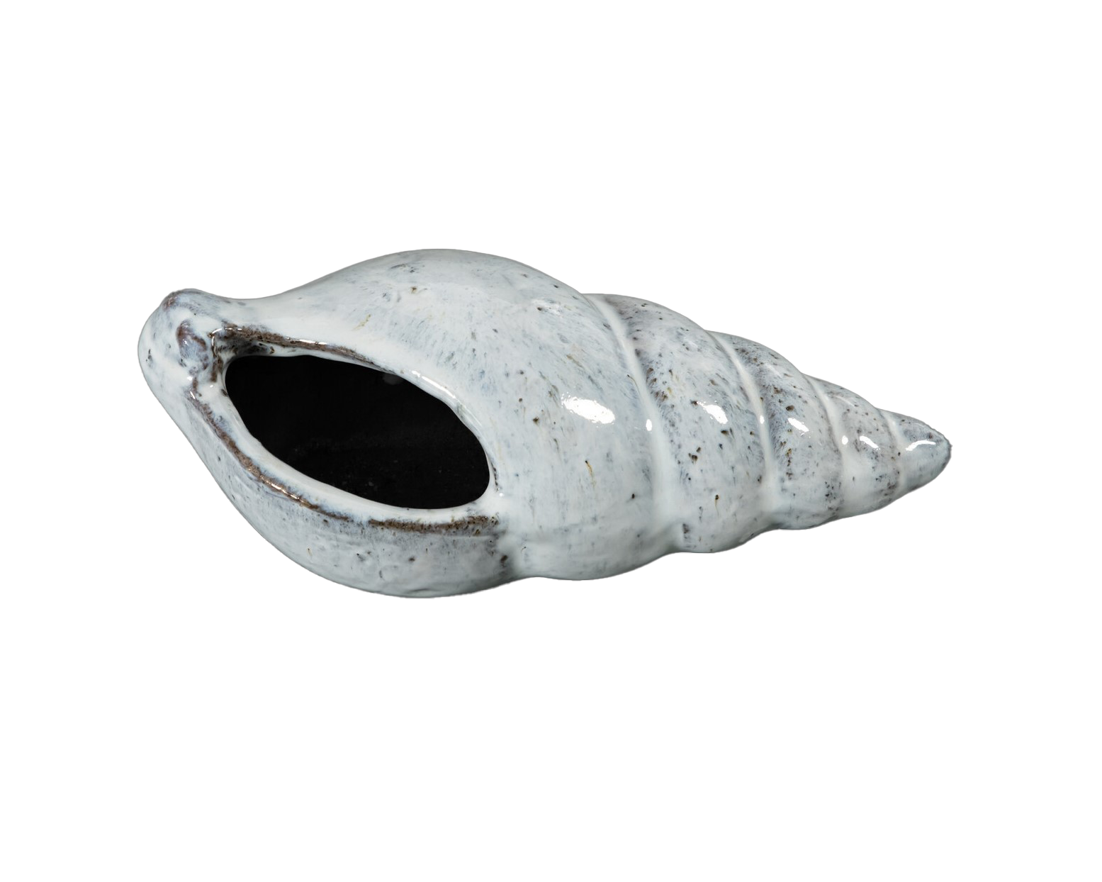 Dekorasjonsskjell shelby