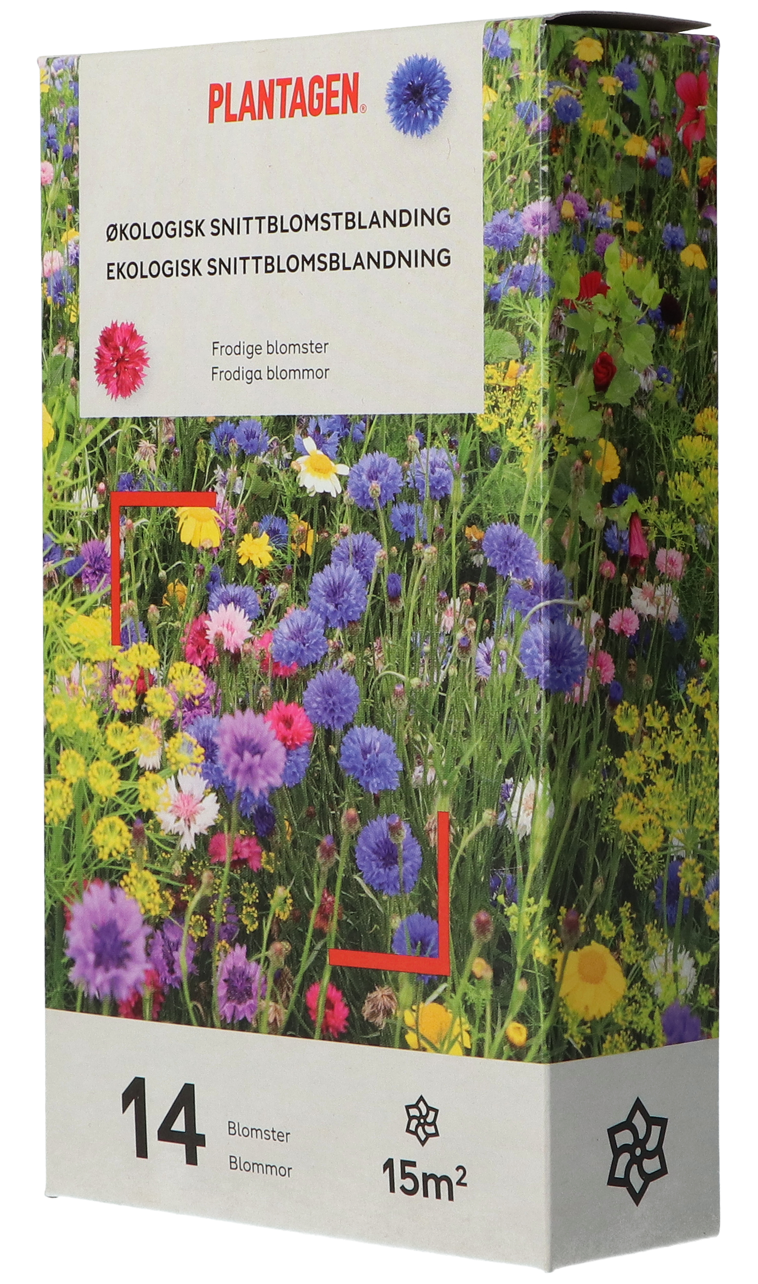 Økologisk snittblomstblanding