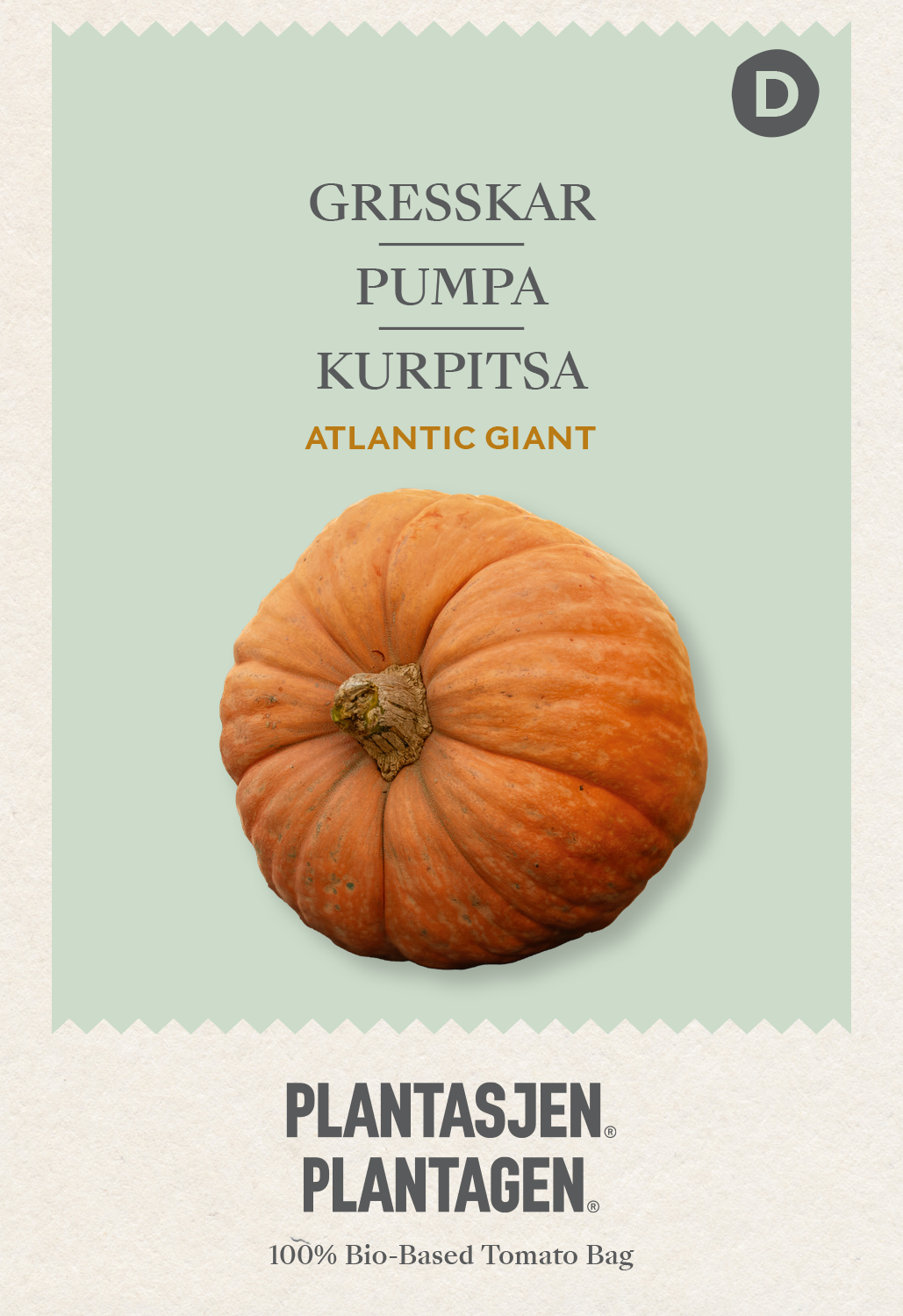 Pumpa Atlantic Giant