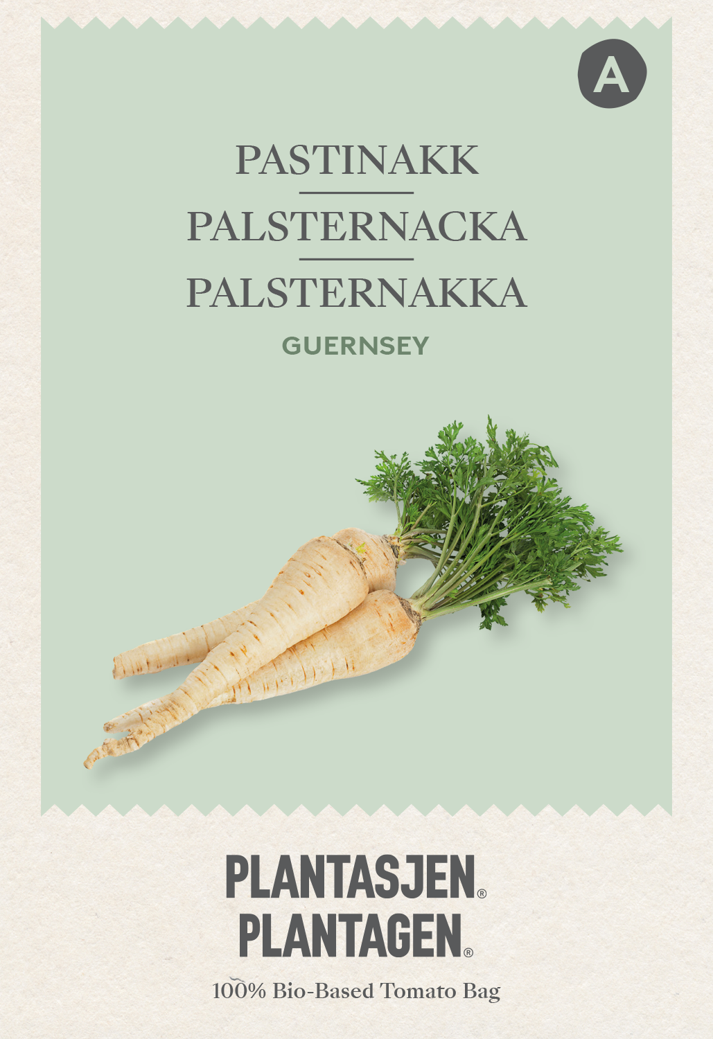 Palsternacka Guernsey