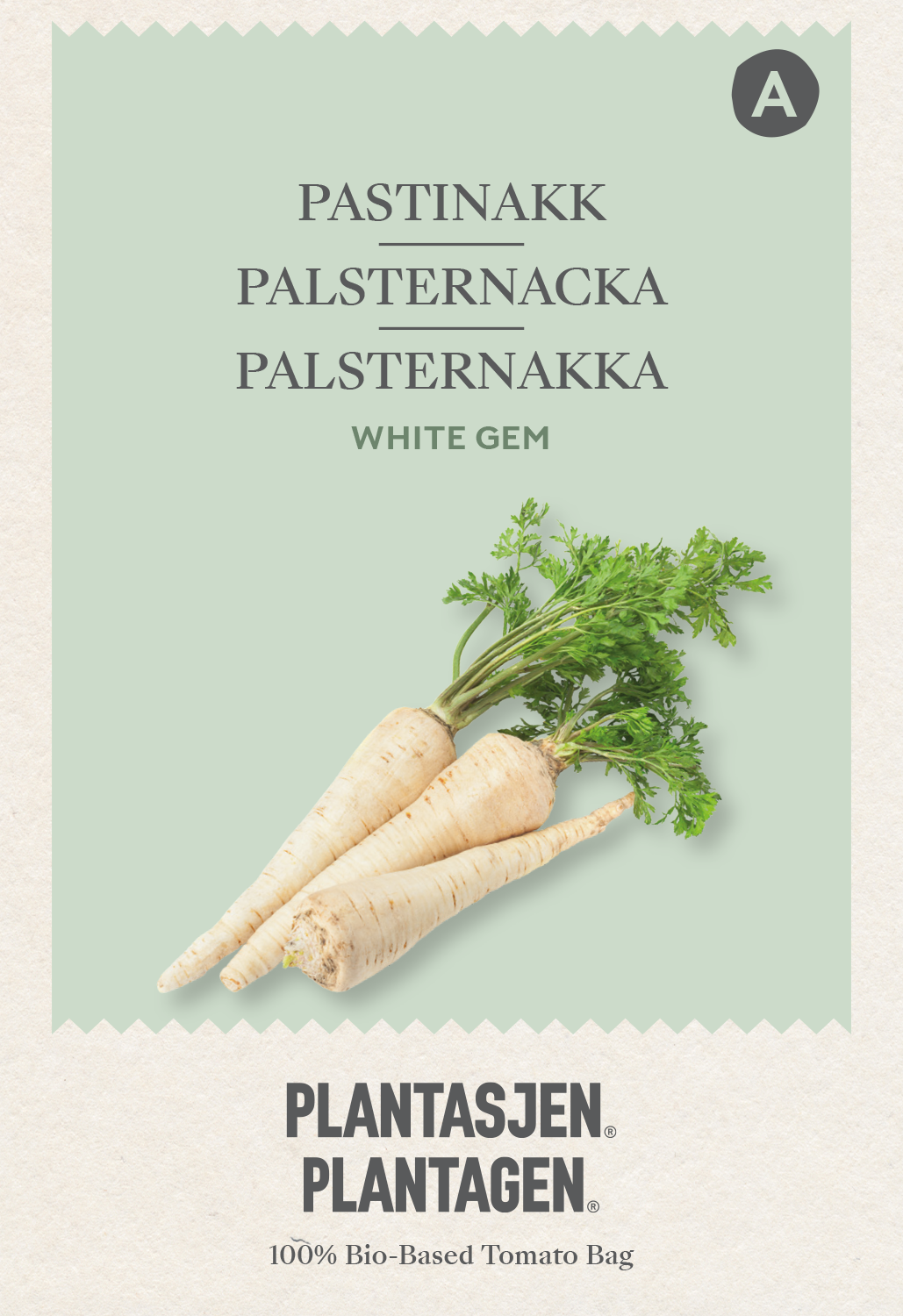 Palsternacka White Gem