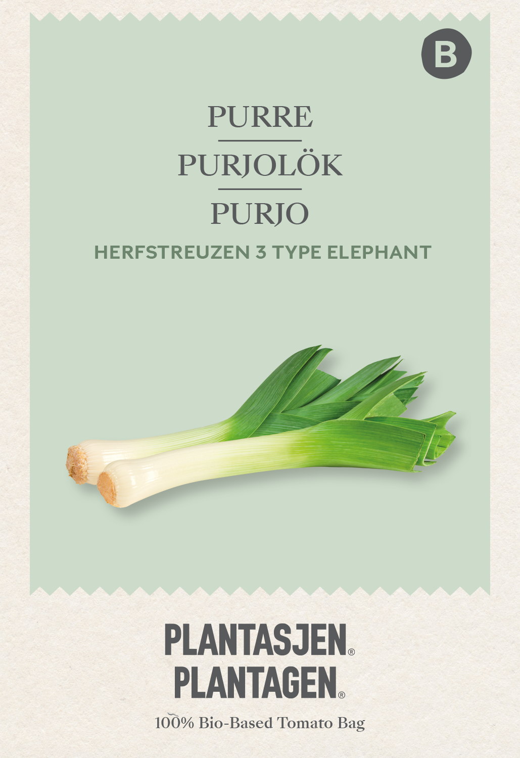 Purjolök Herfstreuzen 3 Type Elephant