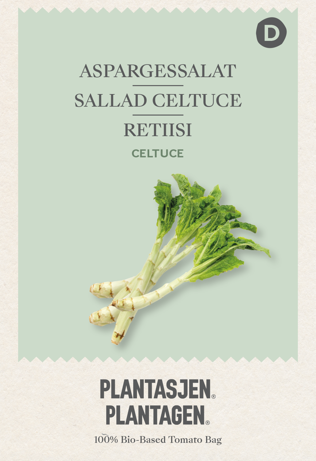 Sallad Celtuce