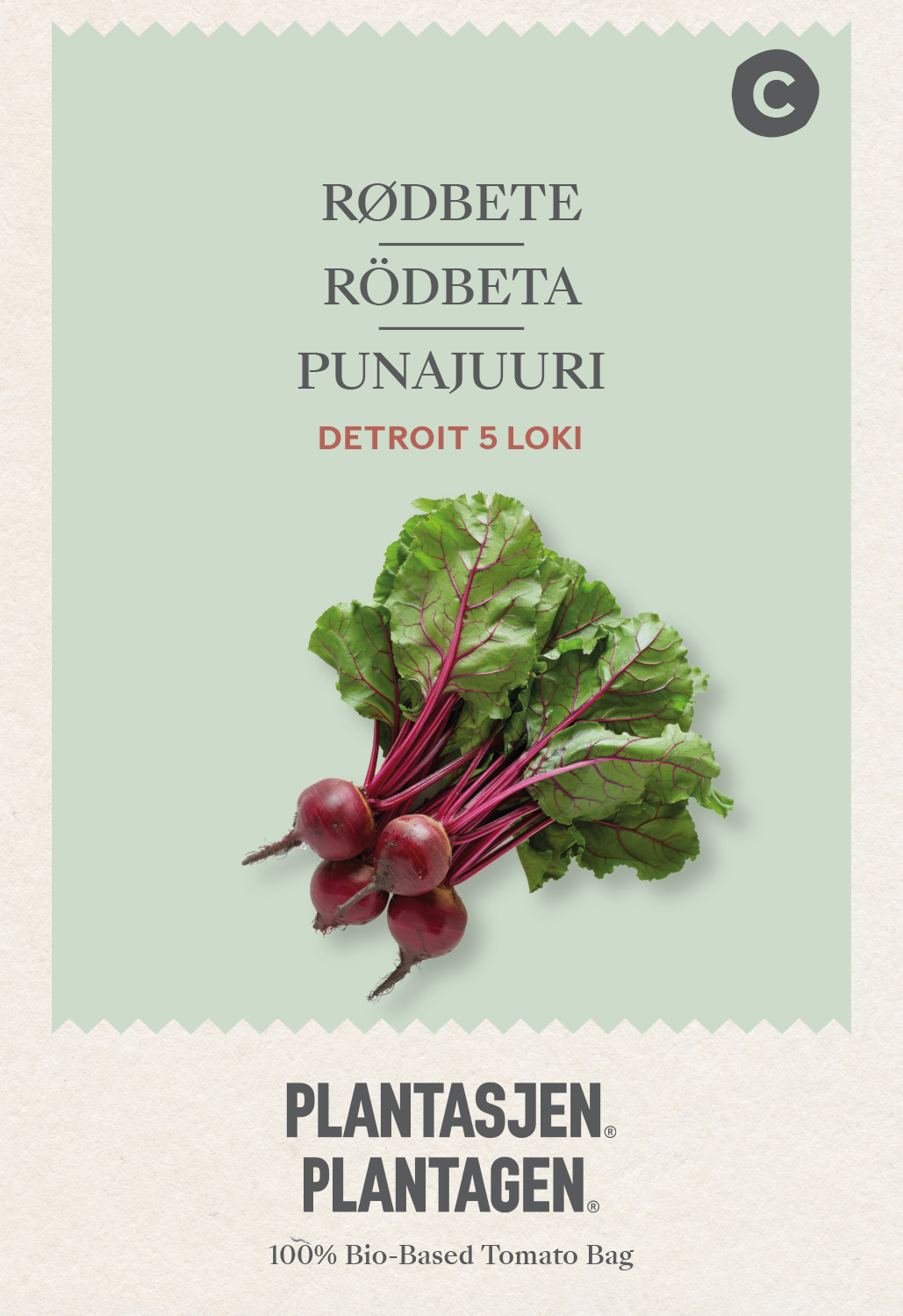 Rödbeta 'Detroit 5 Loki'