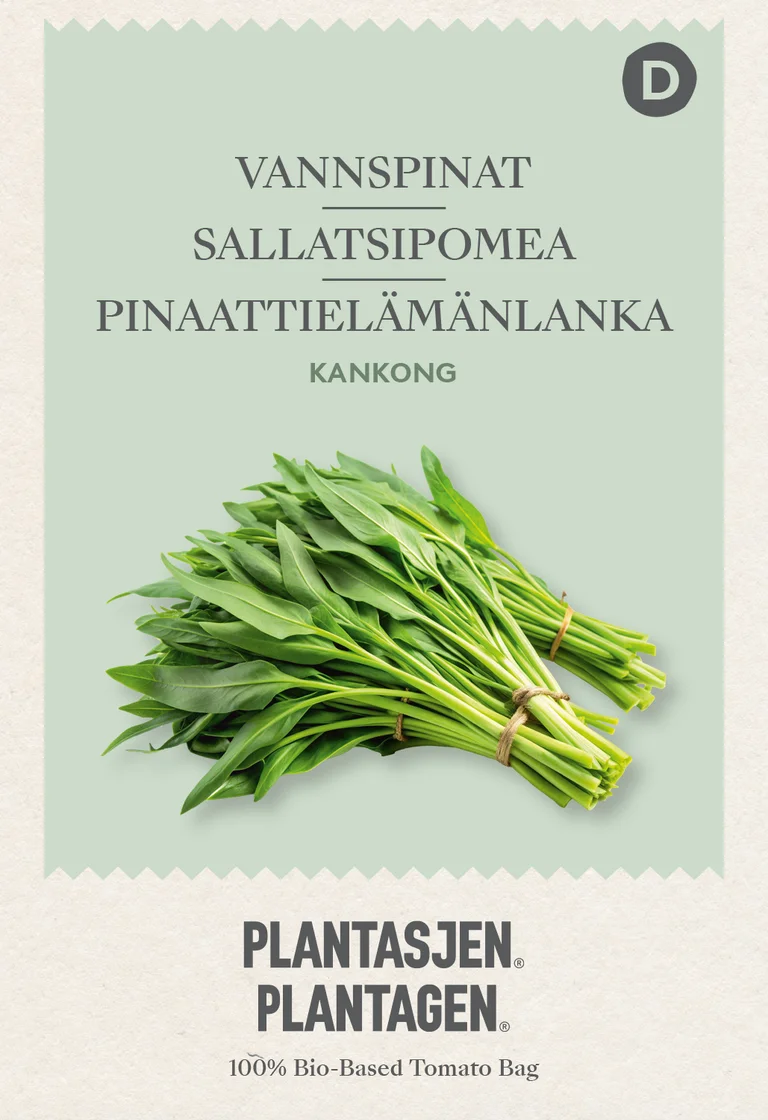 Sallatsipomea Kankong