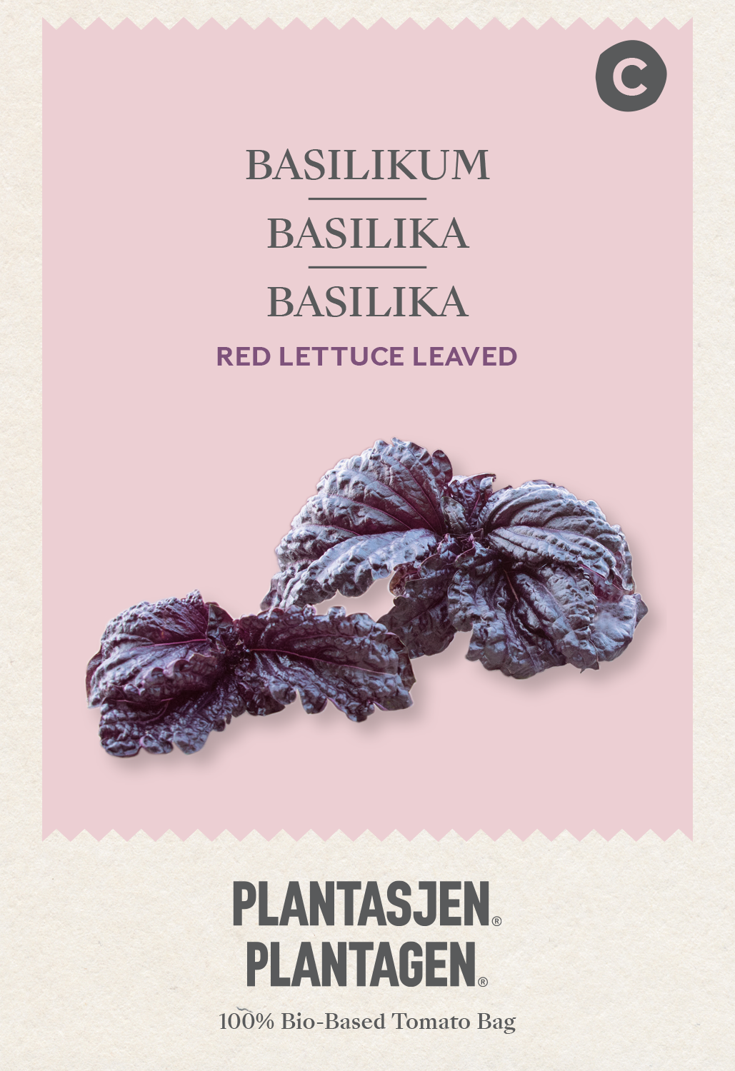 Basilika Red lettuce leaved