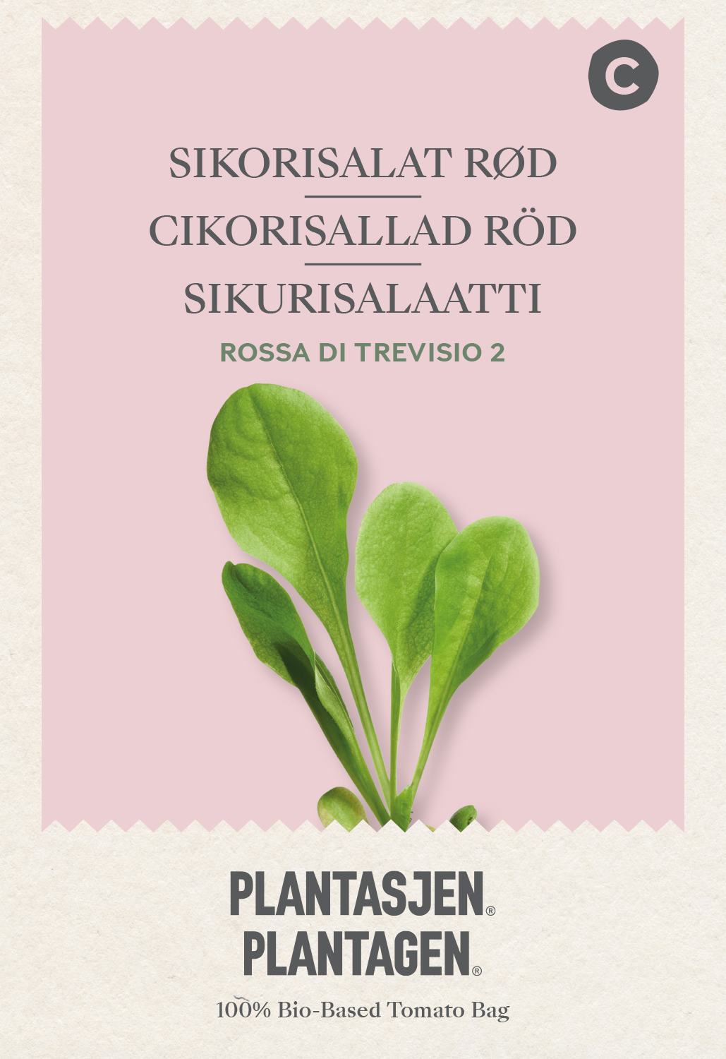 Babyleaf Cikorisallad röd Rossa di Trevisio 2
