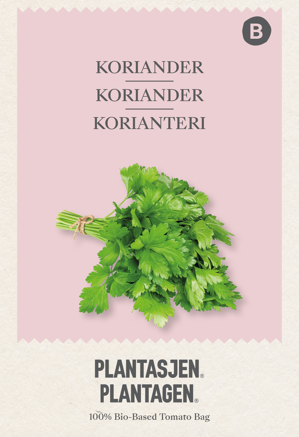 Koriander