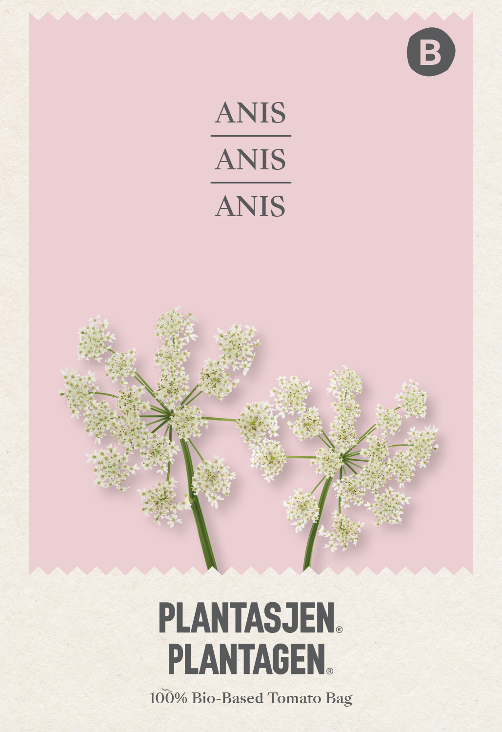 Anis
