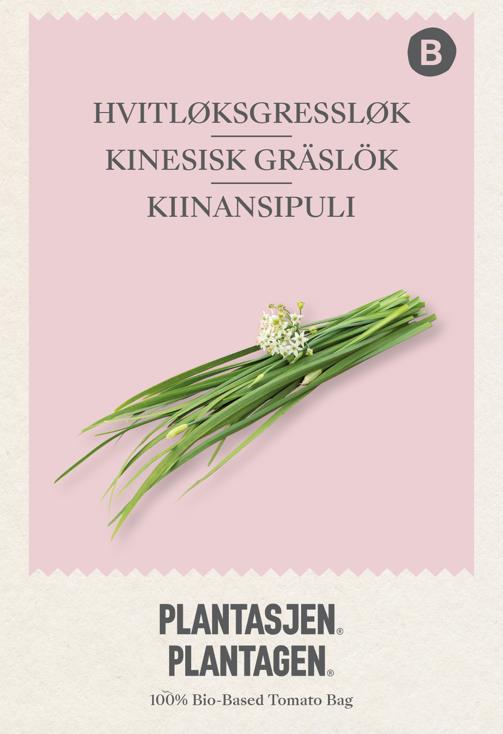 Kinesisk gräslök