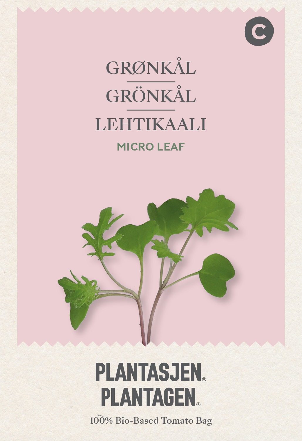 Grönkål 'Red Russian' - Mikrogrönt