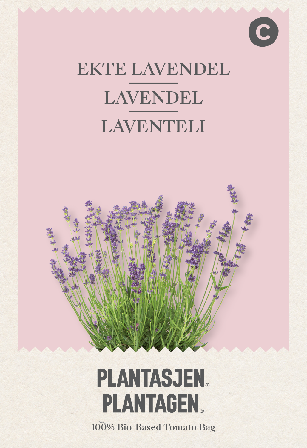 Lavendel