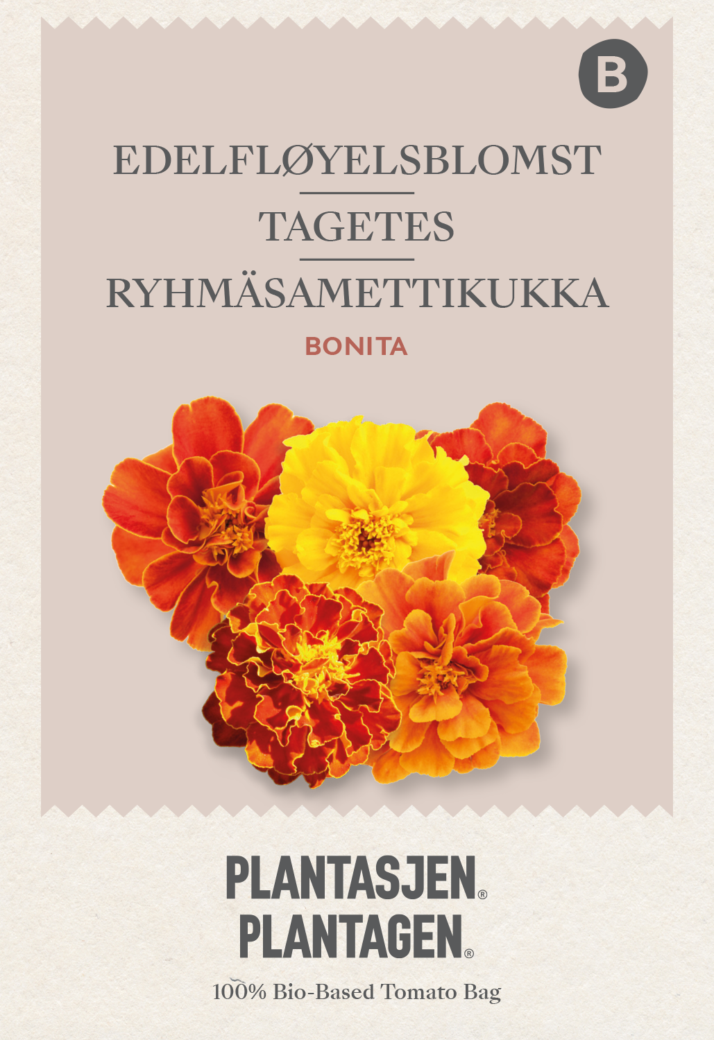 Tagetes Bonita Mixed