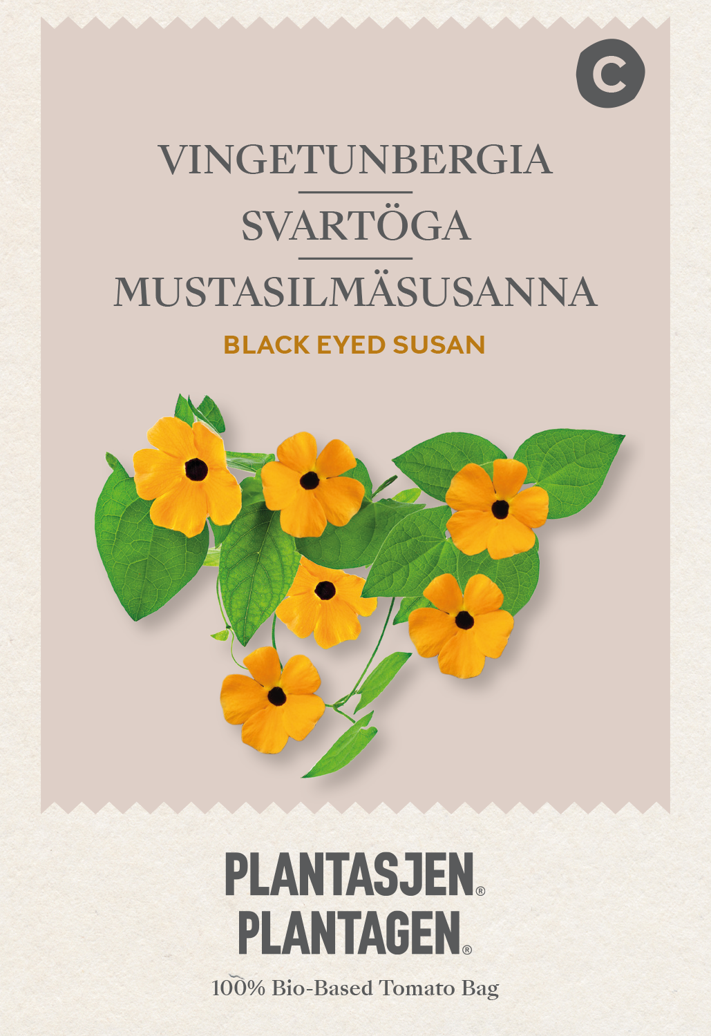 Svartöga Black Eyed Susan