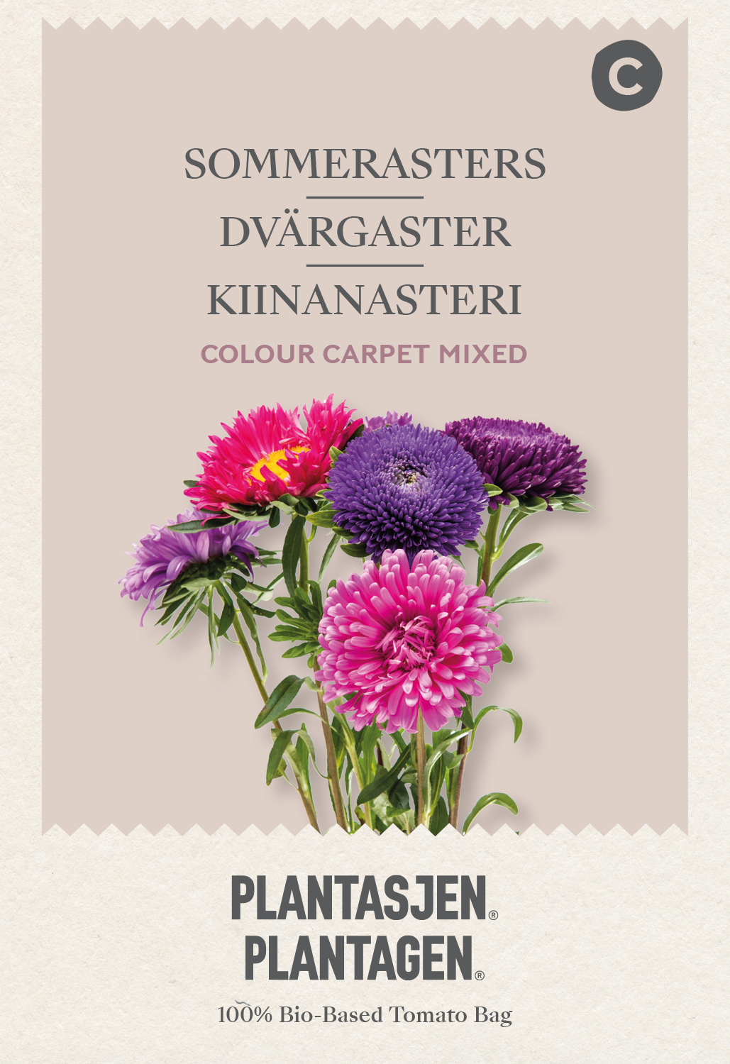 Dvärgaster Colour Carpet Mixed