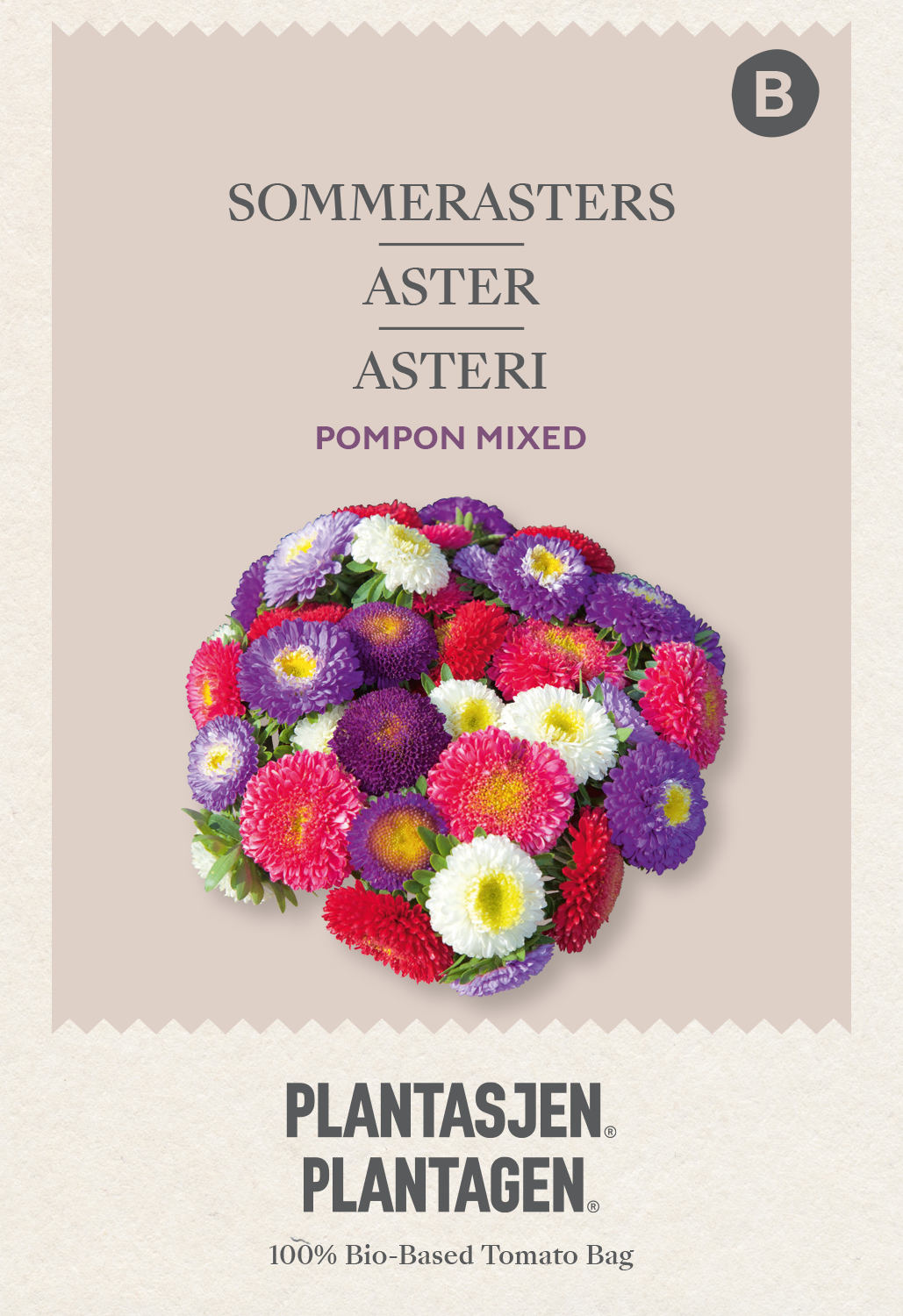 Aster Pompon mixed