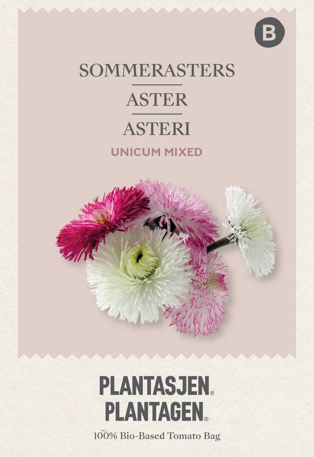 Aster Unicum mixed
