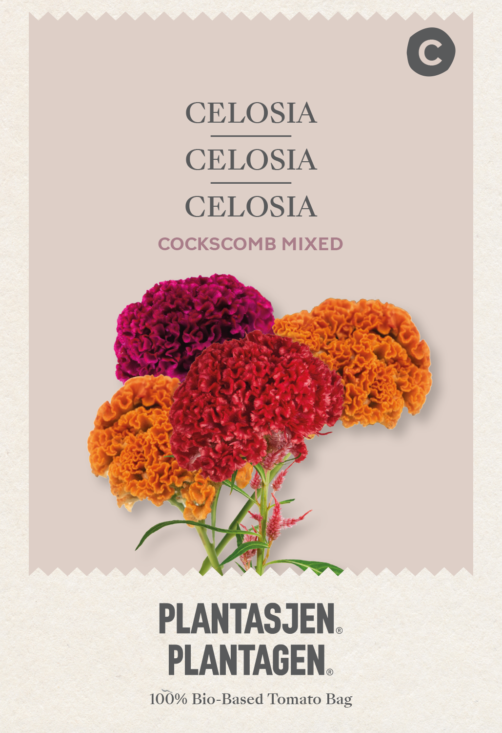 Celosia Cockscomb Mixed