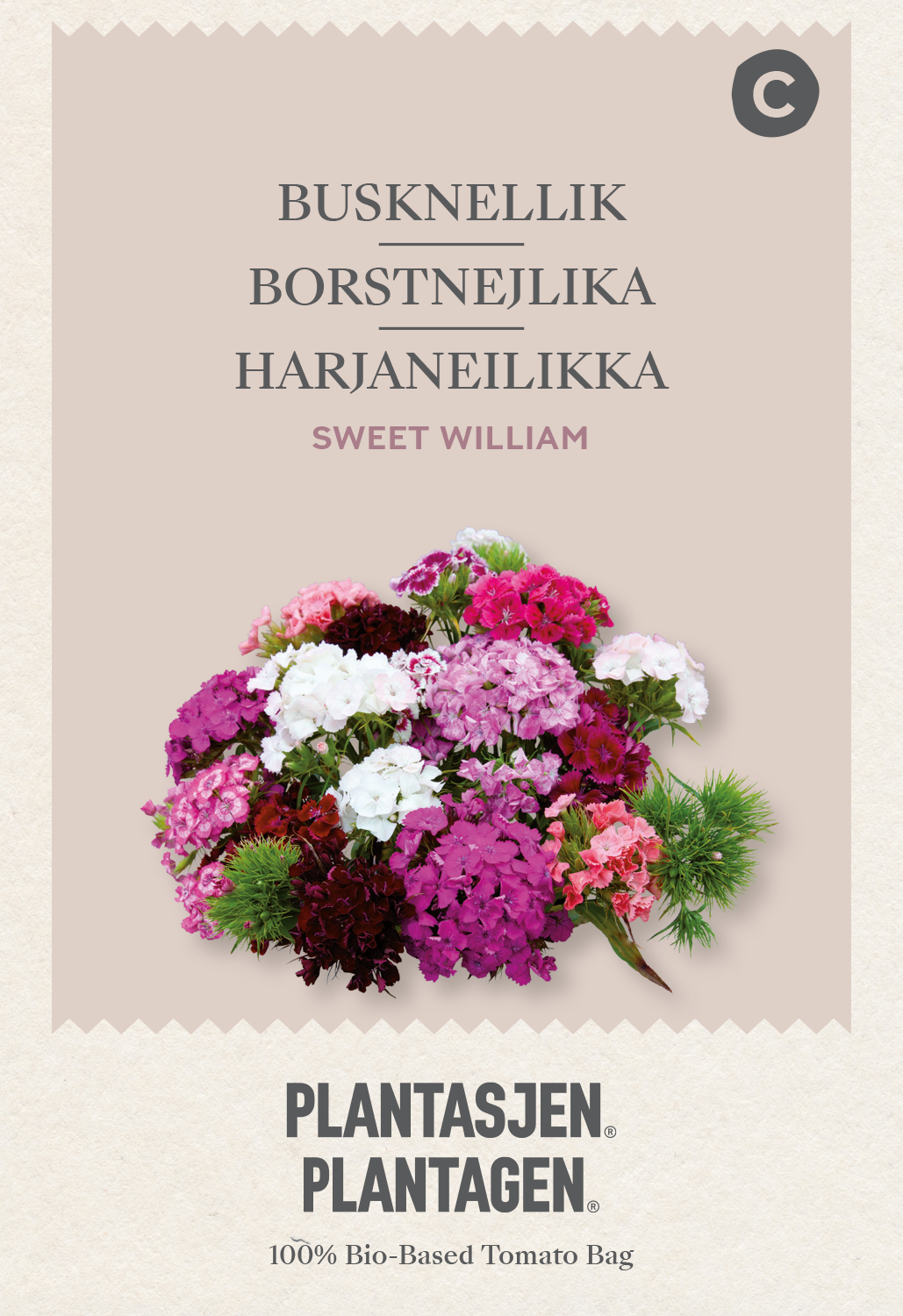 Borstnejlika Sweet William