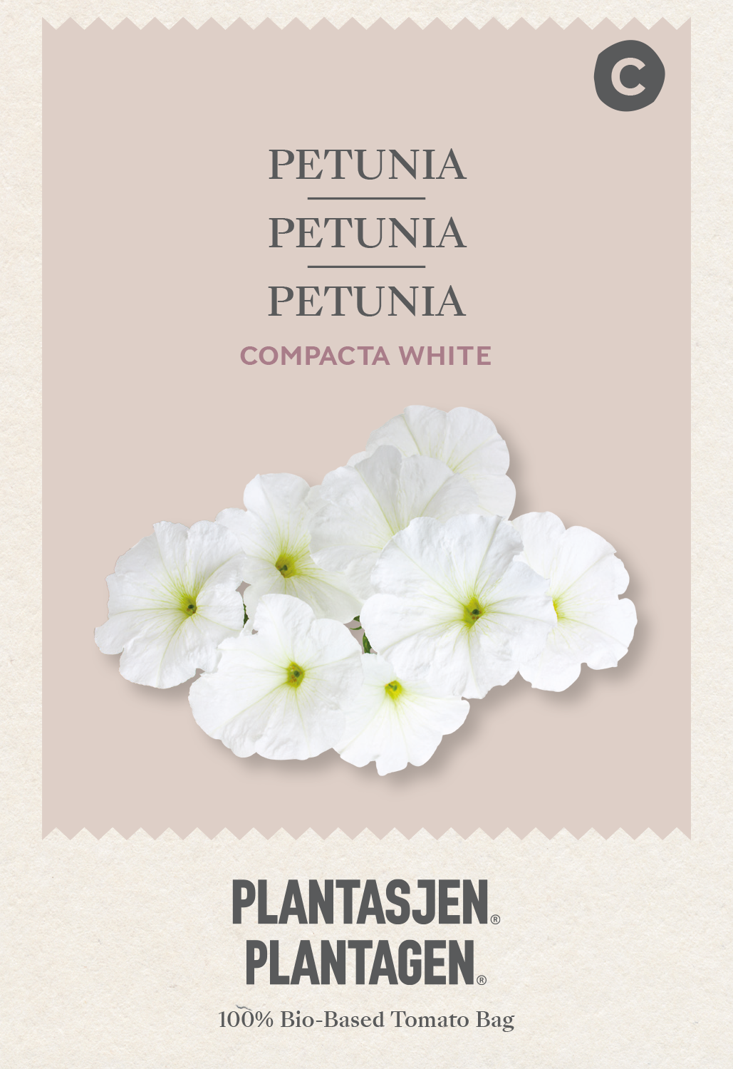 Petunia Compacta White