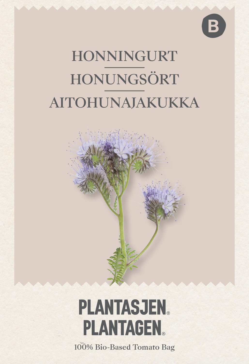 Phacelia tanacetifolia-Bee-attracting plant- 2 g