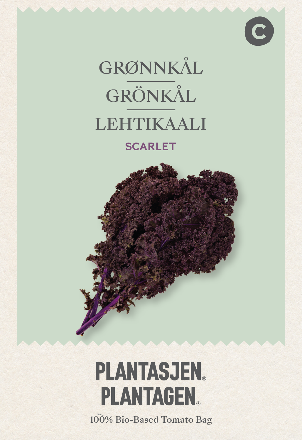 Grönkål Scarlet