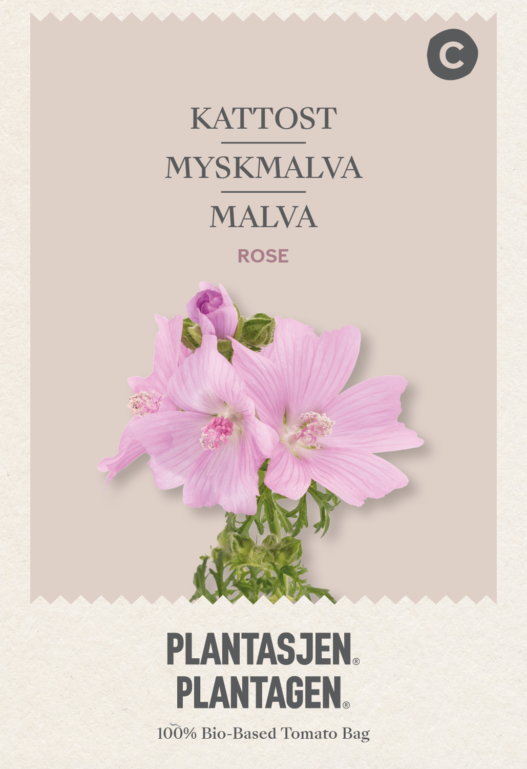 Myskmalva Rose