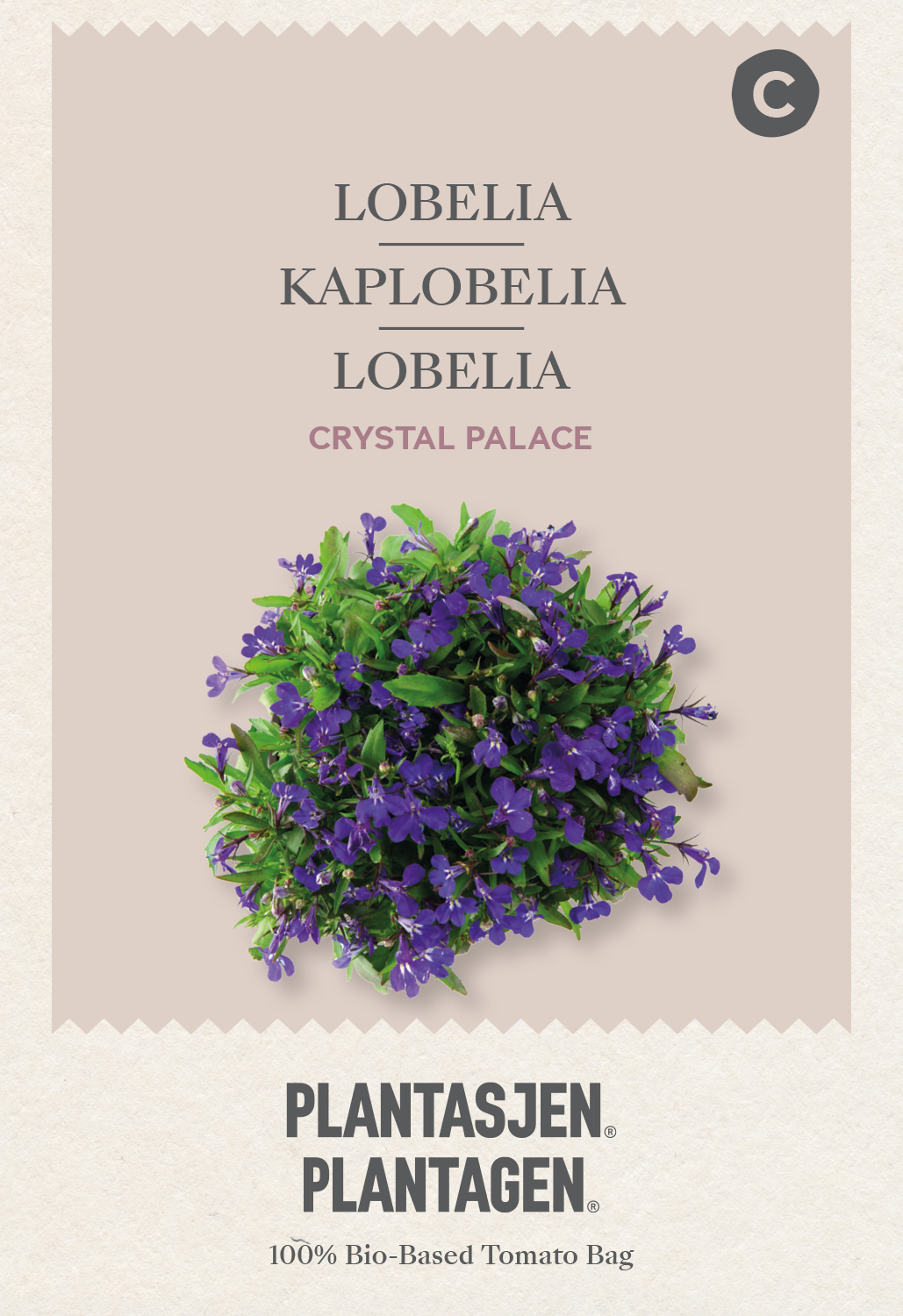 Kaplobelia Crystal Palace