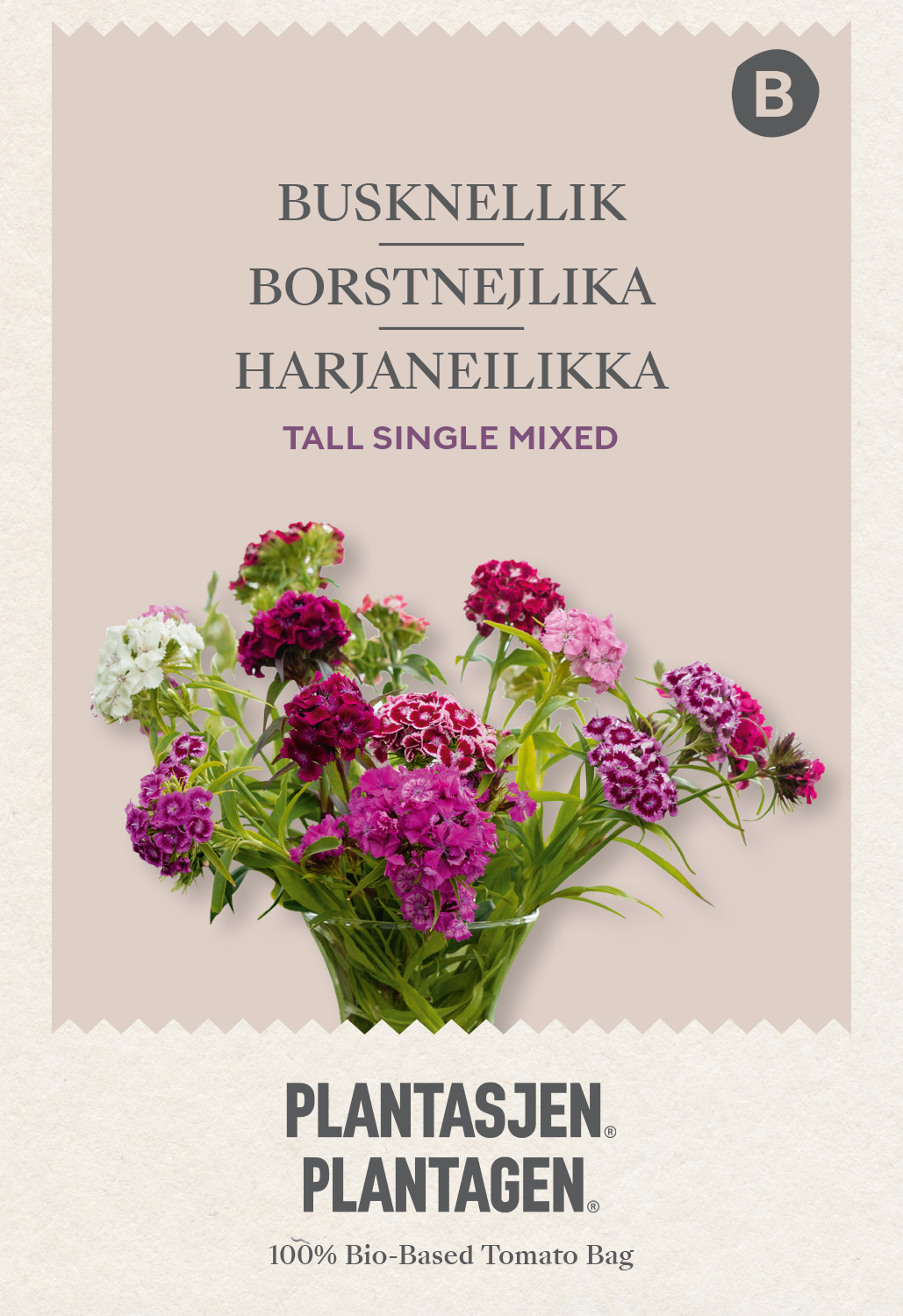 Borstnejlika Tall Single Mixed
