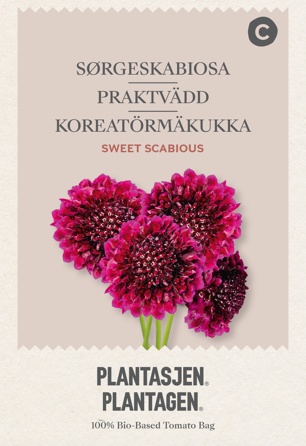 Praktvädd Sweet Scabious