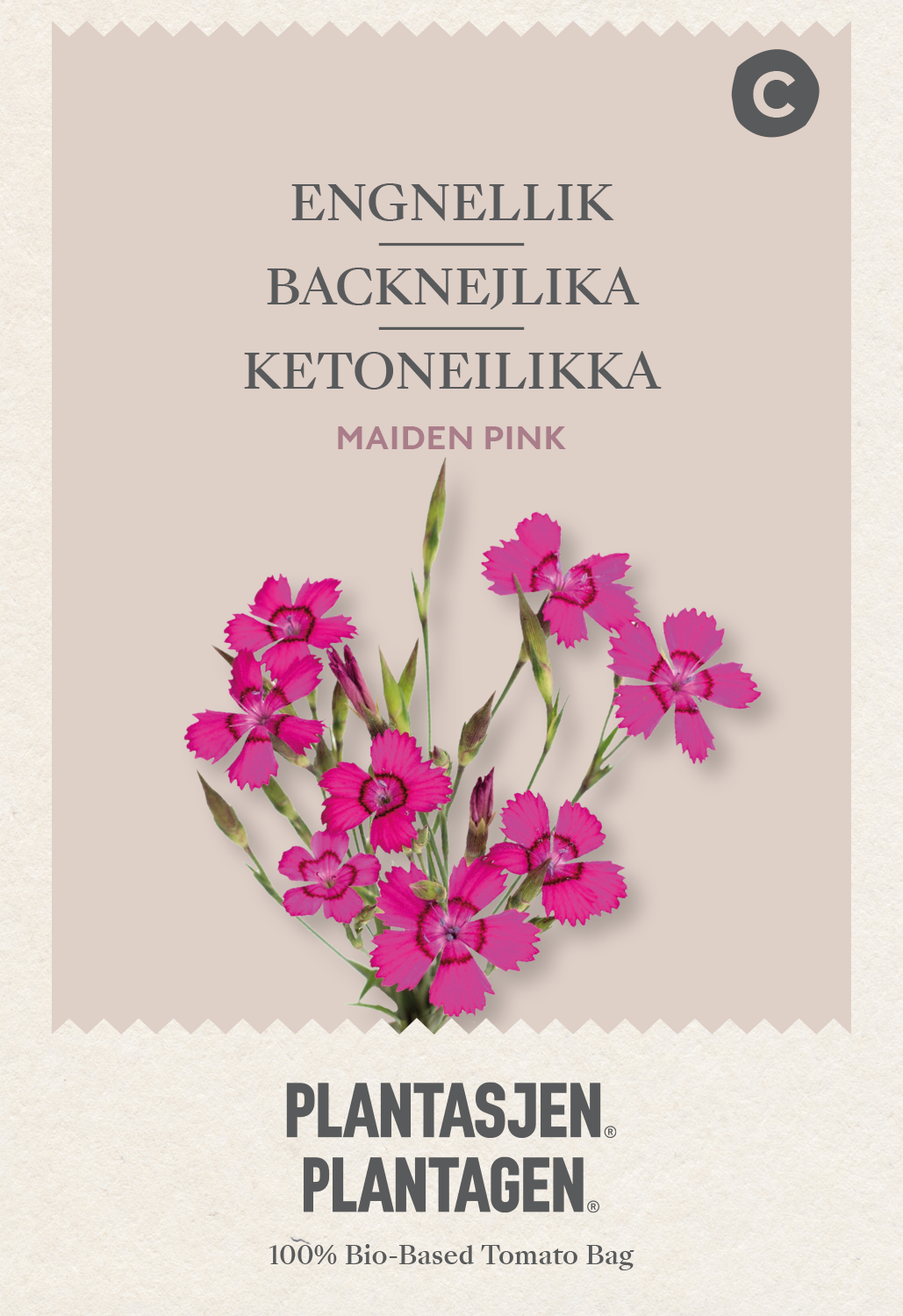 Dianthus deltoides erectus - Maiden Pink -0.25 g