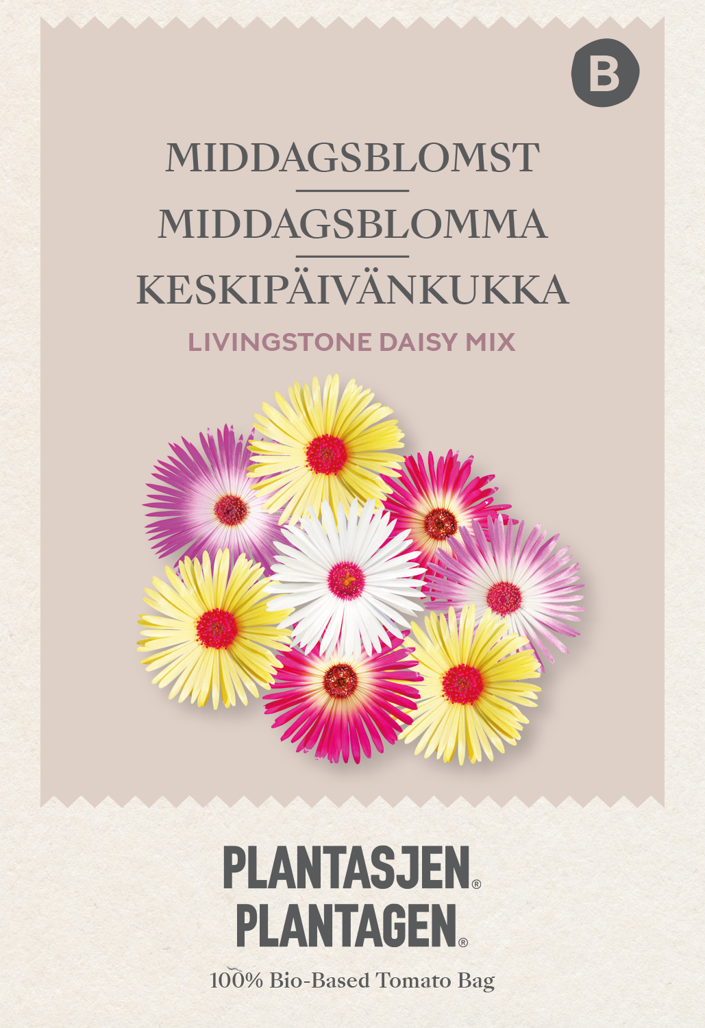 Middagsblomma Livingstone Daisy Mix