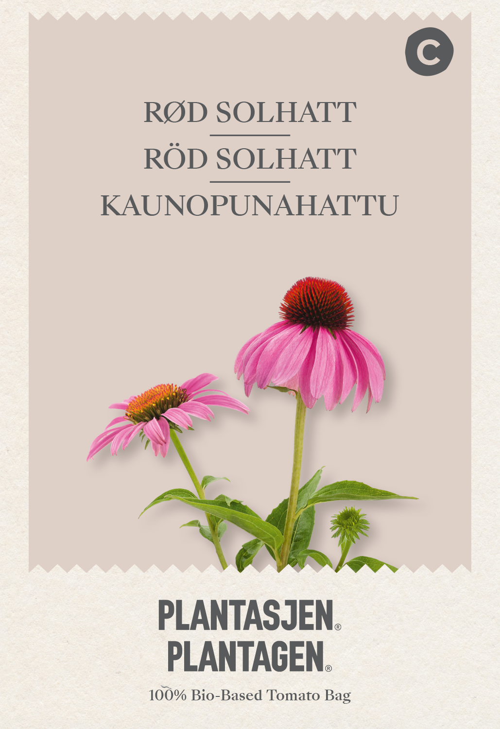 Echinacea purpurea purple red - 0.4 g