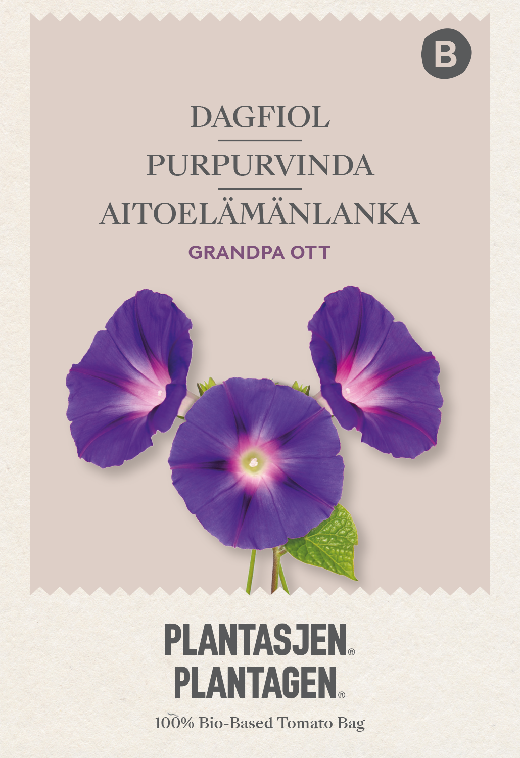 Purpurvinda 'Grandpa Ott'